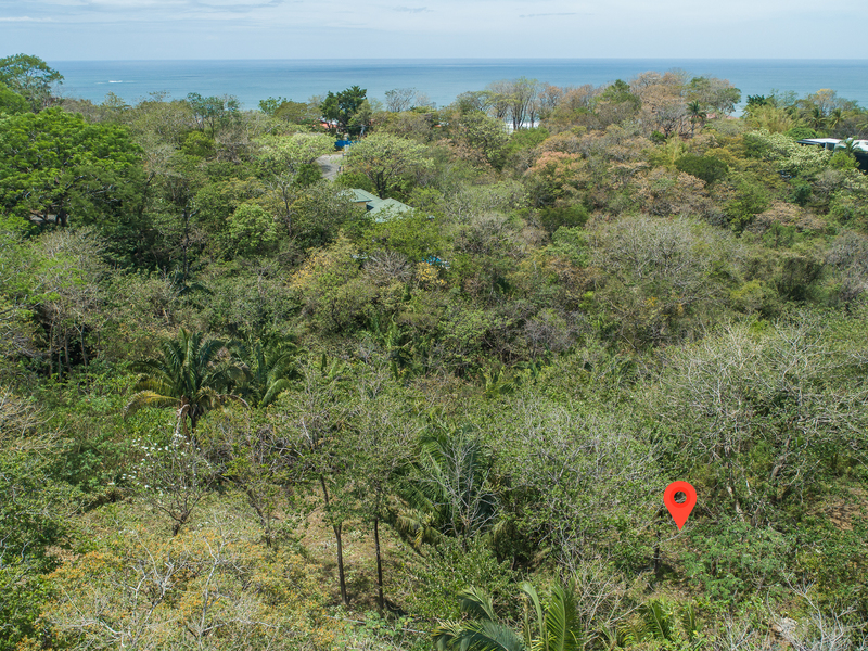 0 bed Land For Sale in Nosara, Guanacaste - 1